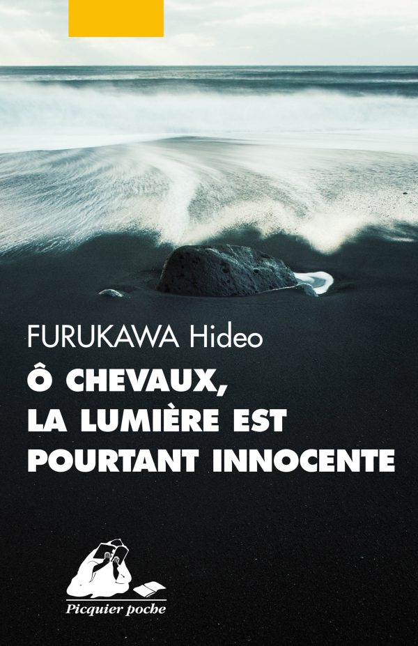 la rencontre livre de poche jeunesse