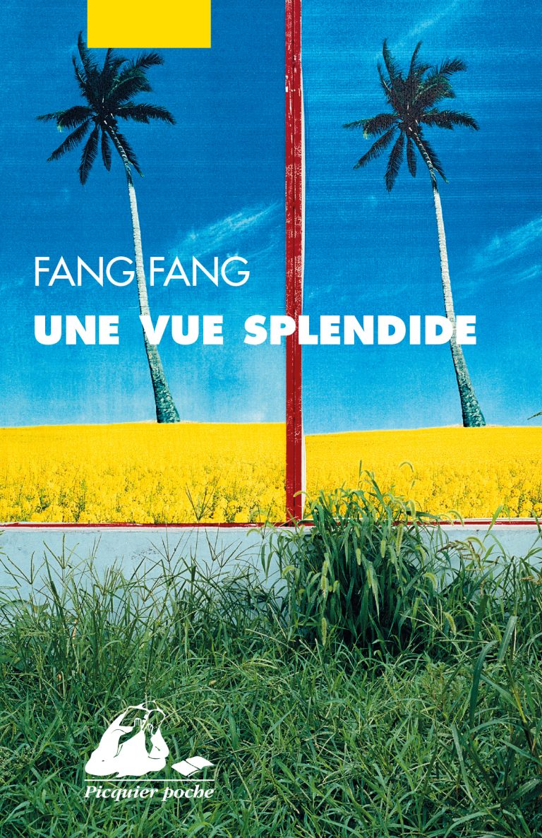 Une vue splendide - Editions Picquier