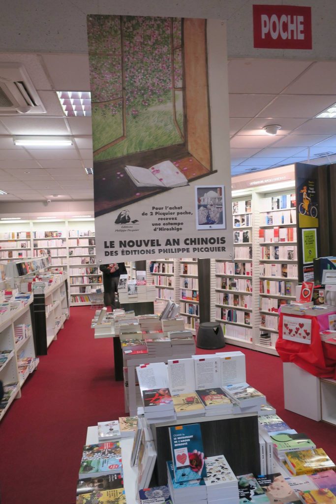 Librairie les volcans